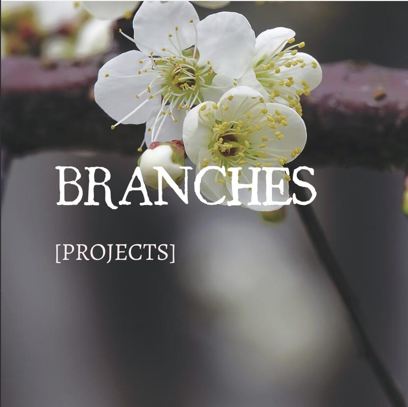 BRANCHES/PROJECTS