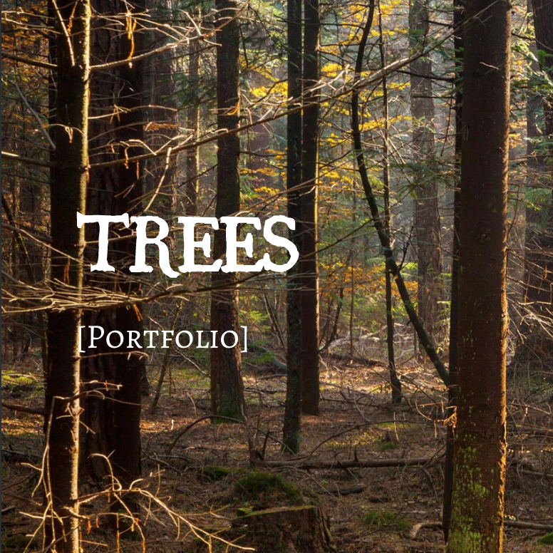 TREES/PORTFOLIO